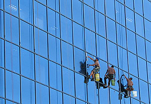 Tre personer hänger utanpå englasfasad och tvättar fönstren