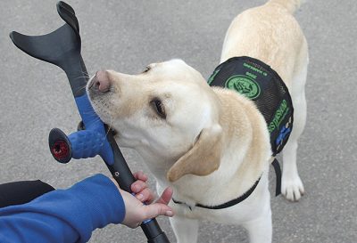 DO: Diskriminering att stoppa assistanshund