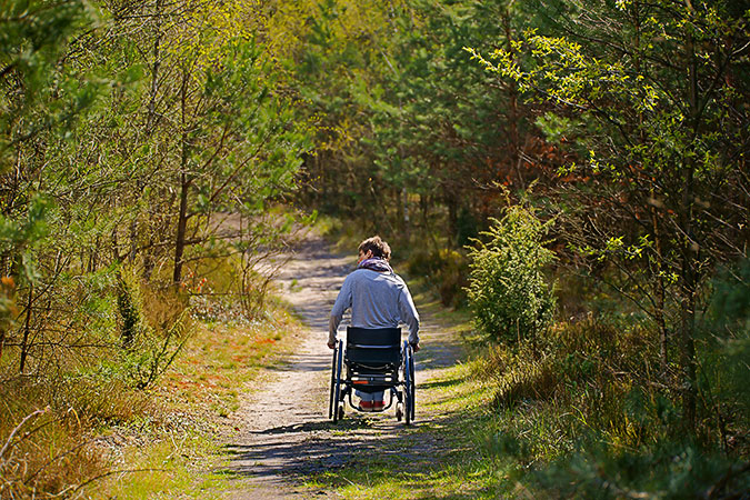 En ensam person i rullstol på en inte helt slät skogsväg omgiven av grönska.
