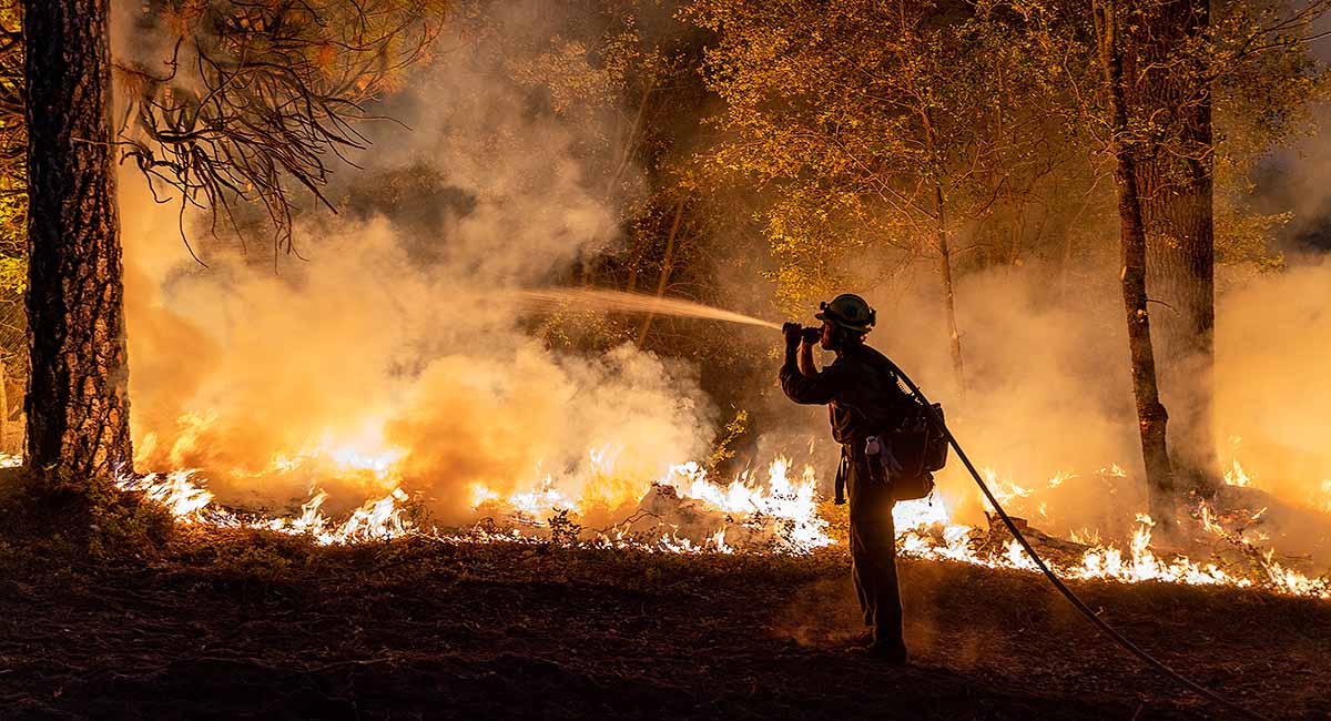 En brandman sprutar vatten på en skogsbrand.